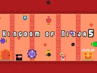 https://games.nageshthakur.com/game/kingdom-of-ninja-5