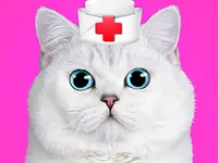 https://games.nageshthakur.com/game/cat-pet-doctor-dentist