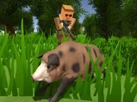 https://games.nageshthakur.com/game/pixel-hunting-io