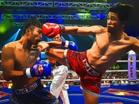 https://games.nageshthakur.com/game/muaythai-fighters-jigsaw