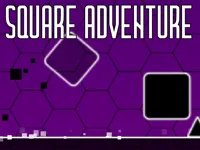https://games.nageshthakur.com/game/square-adventure