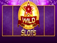 https://games.nageshthakur.com/game/wild-slot