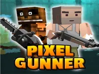 https://games.nageshthakur.com/game/pix-gunner