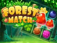https://games.nageshthakur.com/game/forest-match