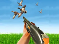 https://games.nageshthakur.com/game/bird-hunting-gun-fire-shooter