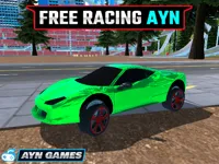 https://games.nageshthakur.com/game/free-racing-ayn