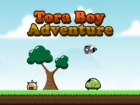 https://games.nageshthakur.com/game/tora-boy-adventure