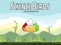 https://games.nageshthakur.com/game/science-birds
