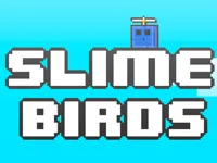 https://games.nageshthakur.com/game/slime-birds