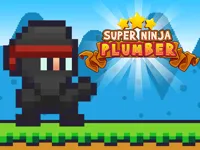 https://games.nageshthakur.com/game/super-ninja-plumber