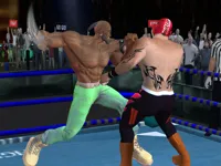 https://games.nageshthakur.com/game/real-boxing-fighting-game
