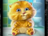 https://games.nageshthakur.com/game/talking-baby-ginger