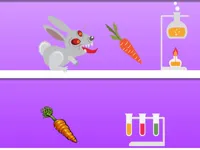 https://games.nageshthakur.com/game/rabid-rabbit