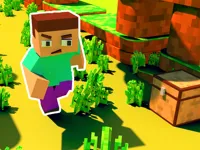 https://games.nageshthakur.com/game/craft-runner-mine-rush