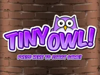 https://games.nageshthakur.com/game/tiny-owl