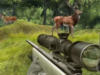 https://games.nageshthakur.com/game/sniper-hunting-deadly-animal