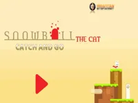 https://games.nageshthakur.com/game/snowball-the-cat-catch-and-go