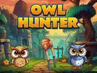 https://games.nageshthakur.com/game/owl-hunter