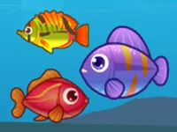 https://games.nageshthakur.com/game/big-fish-eat-small-fish-2