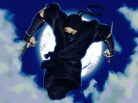 https://games.nageshthakur.com/game/ninja-defender