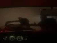 https://games.nageshthakur.com/game/spooky-jungle-safari