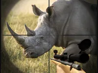 https://games.nageshthakur.com/game/rhino-hunter-shooting-strike