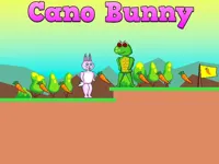 https://games.nageshthakur.com/game/cano-bunny